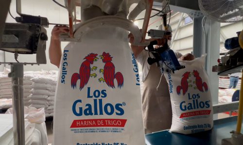 planta-de-harinas-preparadas-04-los-gallos